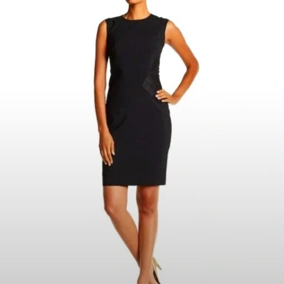 NWT!!! Lafayette 148 New York Laina Lace Insert Dress. Size 6 - Picture 1 of 11